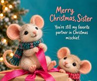 Merry Christmas Sister You're Still My Favorite Partner In Christmas Mischief