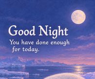 Good Night You Have Done Enough For Today Sleeping Seal