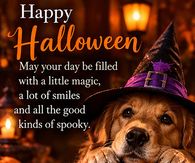 Happy Halloween Golden Retriever In A Witch Hat With A Glowing Jack O Lantern