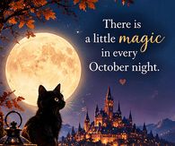 There Is A Little Magic In Every October Night Black Cat And Full Moon
