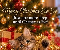 Merry Christmas Eve Eve Just One More Sleep Until Christmas Eve Kitten In Tinsel