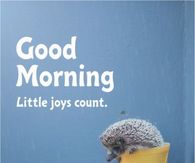 Good Morning Little Joys Count Hedgehog In A Yellow Rain Boot