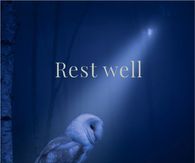 Rest Well Barn Owl In The Moonlight