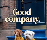 Good Company Dachshund And Westie In Yellow Raincoats
