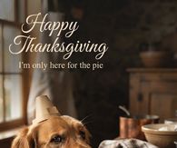 Happy Thanksgiving Im Only Here For The Pie