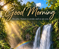 Good Morning Breathe Nature Is Awake And So Are You Waterfall