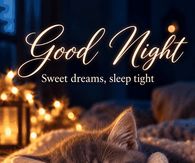 Good Night Sweet Dreams Sleep Tight Sleeping Kitten Gif
