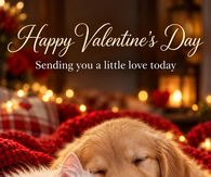 Happy Valentines Day Sending You A Little Love Today Puppy And Kitten