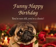 Funny Happy Birthday Youre Not Old Youre A Classic