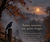 Some Seasons Are Quiet Magic Halloween Reminds Us Beauty Can Live In Mystery