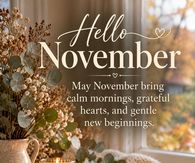 Hello November May November Bring Calm Mornings Grateful Hearts And Gentle New Beginnings