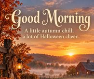Good Morning A Little Autumn Chill A Lot Of Halloween Cheer Jack O Lanterns In An Autumn Field